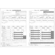 平成29年度版源泉徴収票・給与支払報告書セット SR250
