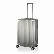 スーツケース TRIDENT(トライデント) 66L 旅行日数目安:4~7泊 TSAロック搭載 シルバー TRI1030-60 SV