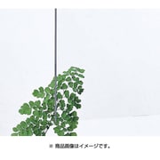アクリル板 透明 3x6尺 2mm KA000-2BL