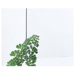 アクリル板 透明 3x6尺 3mm KA000-3BL