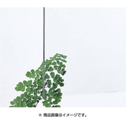 アクリル板 透明 3×6尺 5mm KA000-5BL
