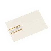 発砲エンビ板 ホワイト 1x200x300mm HE8231-1