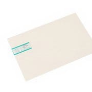 発泡エンビ板 ホワイト 2x300x450mm HE8342-1