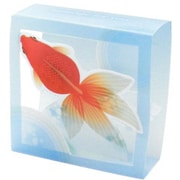 コバコ 金魚 CO-1