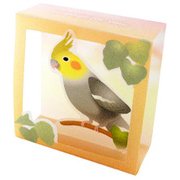 コバコ インコ CO-6