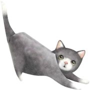 ムスビン ボックス ネコ(グレー) MU-10