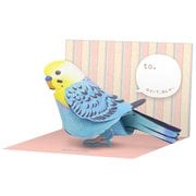ムスビン シート セキセイインコ MB-3