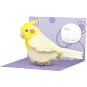 ムスビン シート オカメインコ MB-4