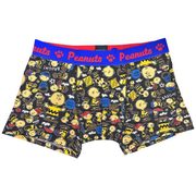 PEANUTS ボクサーブリーフ チャーリー・ブラウン Mサイズ [キャラクターグッズ]
