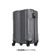 スーツケース BLADE（ブレイド） 拡張タイプ 旅行日数目安：4～7泊 89L/拡張時98L TSAロック搭載 PCファイバーケース 70cm シルバーカーボン 5603-70SLCB