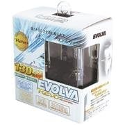 D-1448 [EVOLVA Revo D4R 5500k RevoSpark]