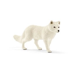 ヨドバシ Com シュライヒ Schleich ホッキョクギツネ 通販 全品無料配達