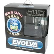 D-1587 [EVOLVA HID Burner D4C 6000k]