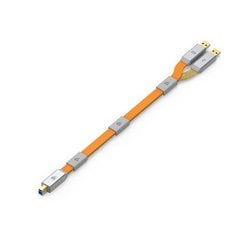 PCケーブル・コネクタ iFi GEMINI-USB3.0 AM+USB2.0 BM-O.7M Amazon.com: iFi Gemini3.0 Dual Headed Audiophile USB Cable