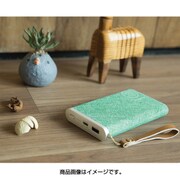 モバイルバッテリー Powersack Type-CPowerBank10000mAh グリーン RO-PS-GR