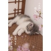 春柄 ネコポストカード PB-468H