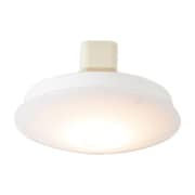 ドットLED60 ホワイト ACE-150L