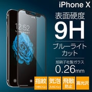 iPhone X プレミアムガラス9H PETフレーム ブルーライトカット 0.26mm 液晶保護フィルム ブラック