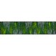 キッチンマット Scratchy green 60×260cm AB00326