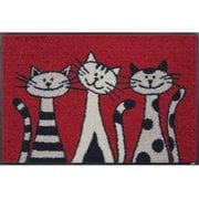 玄関マット Three Cats 50×75 cm AB00006