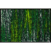 玄関マット Scratchy green 50×75 cm AB00325