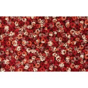 ラグマット Punilla red 110×175 cm AB00358