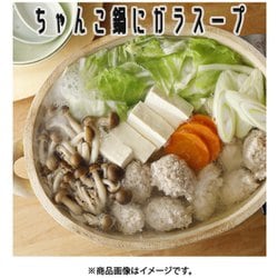 ヨドバシ.com - ユウキ食品 ガラスープ(袋) 100g 通販【全品無料配達】