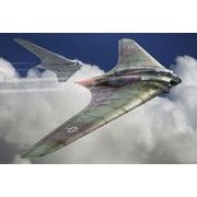 HAUBRP144007 ホルテン Ho-229A [1/144 エアクラフトシリーズ]