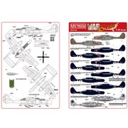 148169 アメリカ軍 P-61 ブラックウィドウ 夜間戦闘機 [1/48 デカール]
