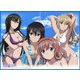 TCG万能プレイマット ストライク・ザ・ブラッド II [縦400×横550mm]