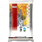 精米 新潟県産 こしいぶき 5kg 令和4年産