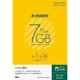 BM-GTPL4-1MM [b-mobile 7GB×1ヶ月SIMパッケージ(マイクロSIM)]