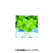 充填用リキッド15ml ライトメンソール