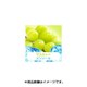 充填用リキッド15ml マスカットメンソール