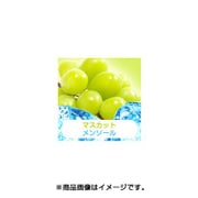 充填用リキッド15ml マスカットメンソール