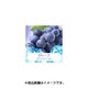 充填用リキッド15ml グレープメンソール