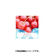 充填用リキッド15ml チェリーメンソール