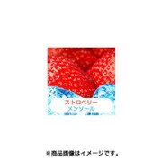 充填用リキッド15ml ストロベリーメンソール
