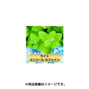 充填用リキッド15ml ライトメンソール カフェイン配合