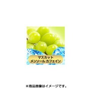 充填用リキッド15ml マスカットメンソール カフェイン配合
