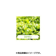 充填用リキッド15ml +Beauty CATECHIN