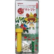 くまのがっこう×Petomato プチトマト 水耕栽培キット [H26×W11.5×D4cm]