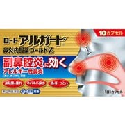 ロートアルガード鼻炎内服薬ゴールドZ 10cp [指定第2類医薬品 鼻炎薬 ※セルフメディケーション税制対象商品]