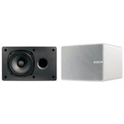 スピーカーシステム 特殊塗装モデル 2台1組 D-PS100(W)