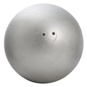 RA002500 [陸上競技 砲丸投げ用砲丸 5.0kg]