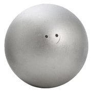 RA002600 [陸上競技 砲丸投げ用砲丸 6.0kg]
