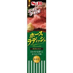 ホースラディッシュ チューブ 40g [香辛調味料 チューブ入り]