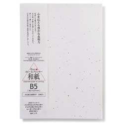 プリンター用紙 大礼紙 金銀砂子 B5 20枚入