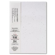 プリンター用紙 大礼紙 金銀砂子 B4 20枚入
