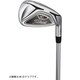 VG3 アイアン TYPE-D Titleist VGI (S) ＃5 2018年モデル [ゴルフ 単品アイアン]